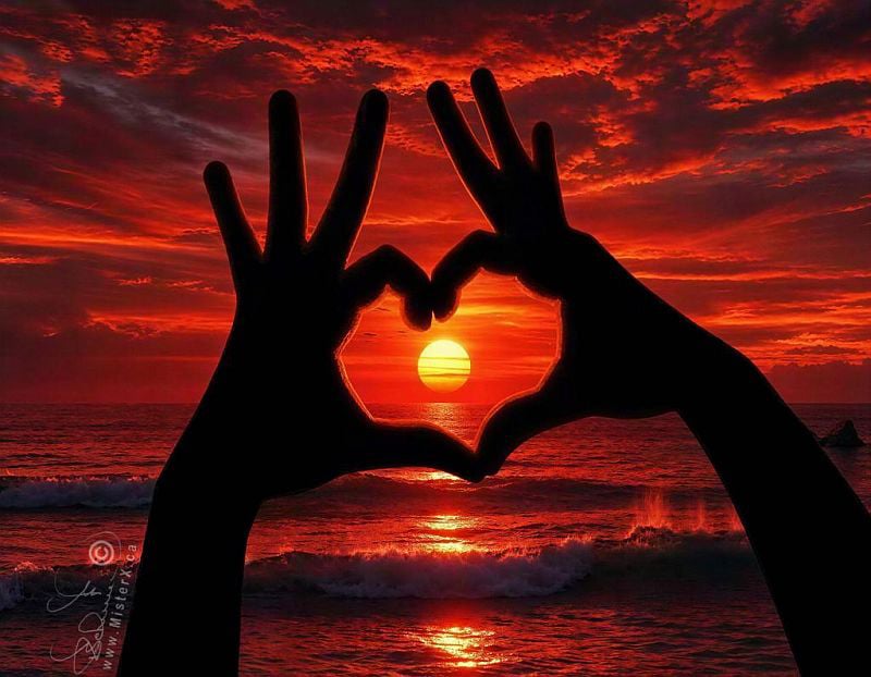 Silhouette of 2 hands coming together and making a heart shape with their index fingers and thumb. Inside the heart shape the sun can be seen, and the rest of the image is a red sunset and waves crashing beneath it. 